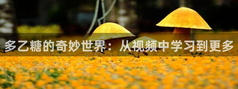 糖心vlog 多乙：多乙糖的奇妙世界：从视频中学习到更多