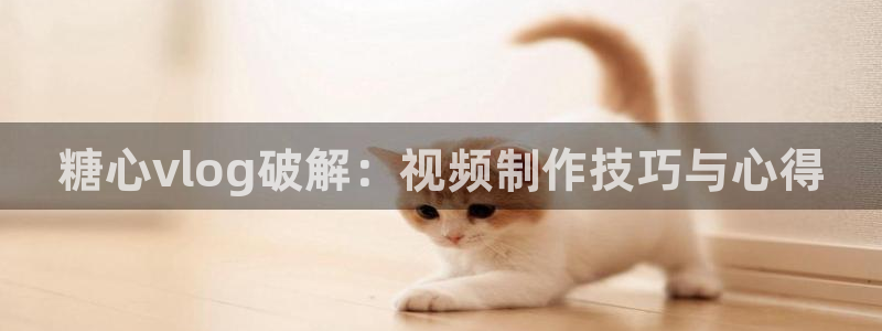 糖心vlog国产剧：糖心vlog破解：视频制作技巧与心得