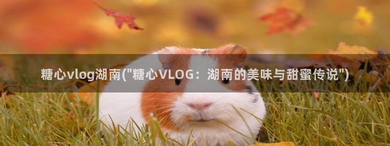 成人糖心vlog3.2：糖心vlog湖南(\