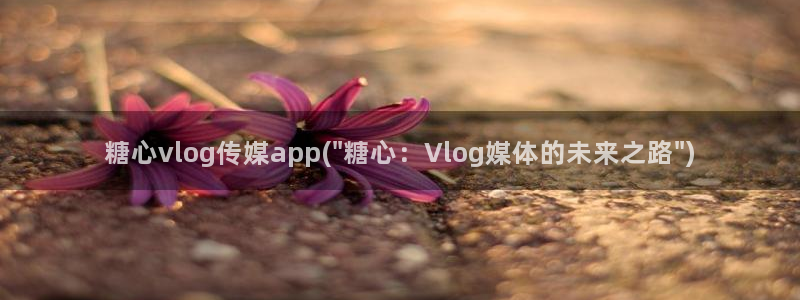 糖心vlog线下援交