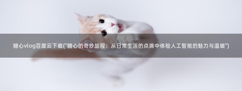 糖心vlog在线观看_糖心：糖心vlog百度云下载(\