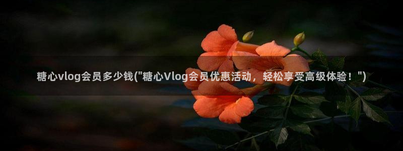 在线观看糖心vlog：糖心vlog会员多少钱(\