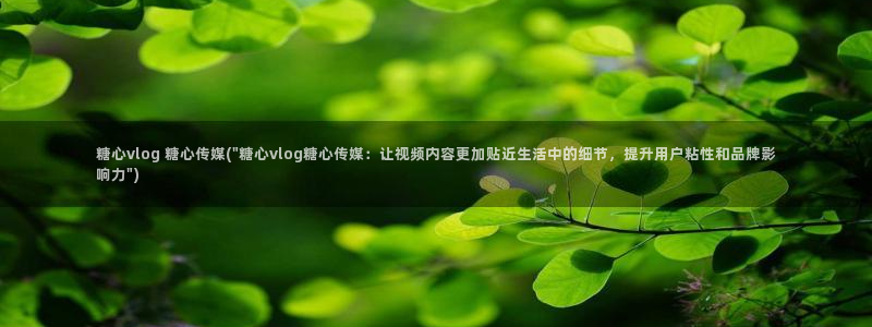 国产糖心vlog 认证