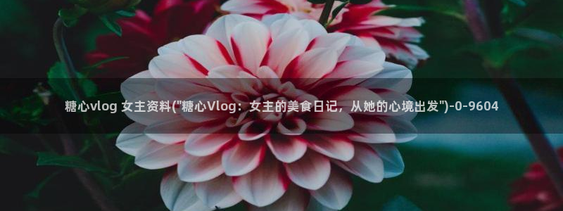糖vlog心