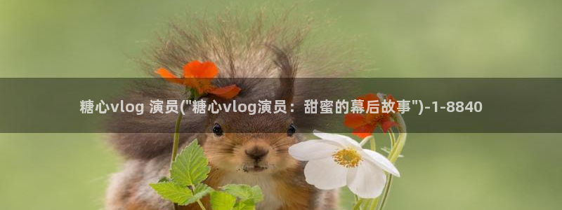 糖心vlog污秽