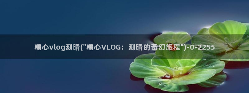 糖心vlog资源分享：糖心vlog刻晴(\