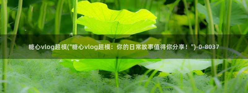 糖心vlog圣诞节：糖心vlog超模(\