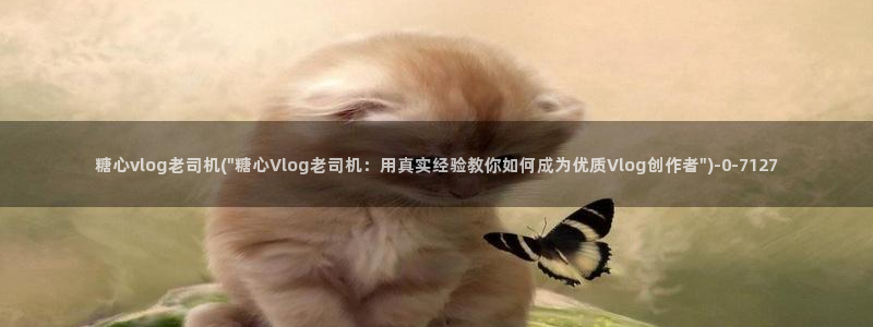 糖心vlog离婚律师：糖心vlog老司机(\