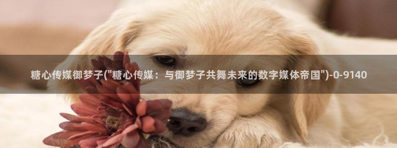 糖心vlog视频app：糖心传媒御梦子(\