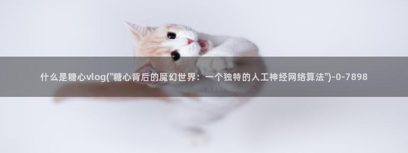 糖心vlog苏小