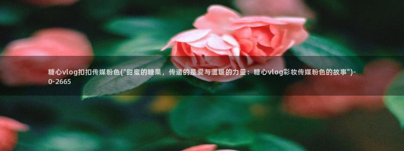 糖心 vlog：糖心vlog扣扣传媒粉色(\