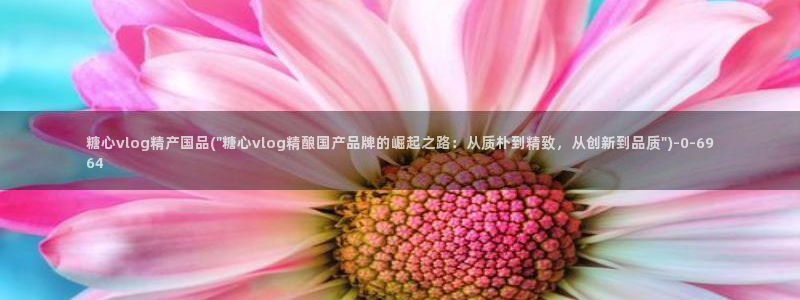 糖心vlog产精国免费入口：糖心vlog精产国品