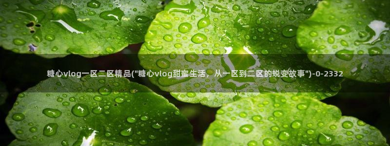 糖心vlog苹果版下载：糖心vlog一区二区精品(\
