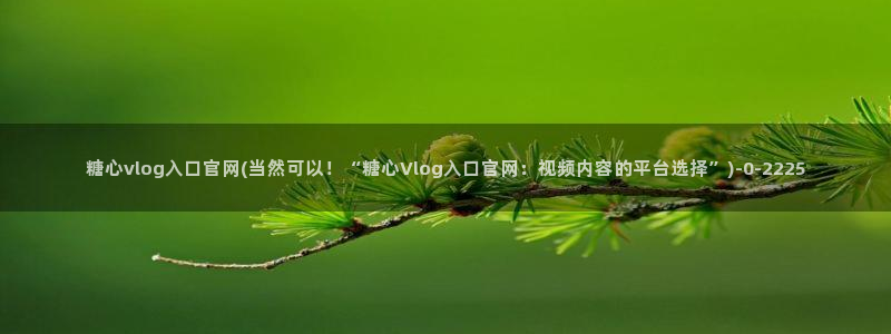 糖心成年版糖心vlog：糖心vlog入口官网(当然可以！“糖心Vlog入口官网：视频内容的平台选择”)